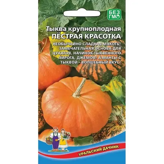 Семена Тыква Пестрая красотка - крупноплодная (а/ф Уральский Дачник)