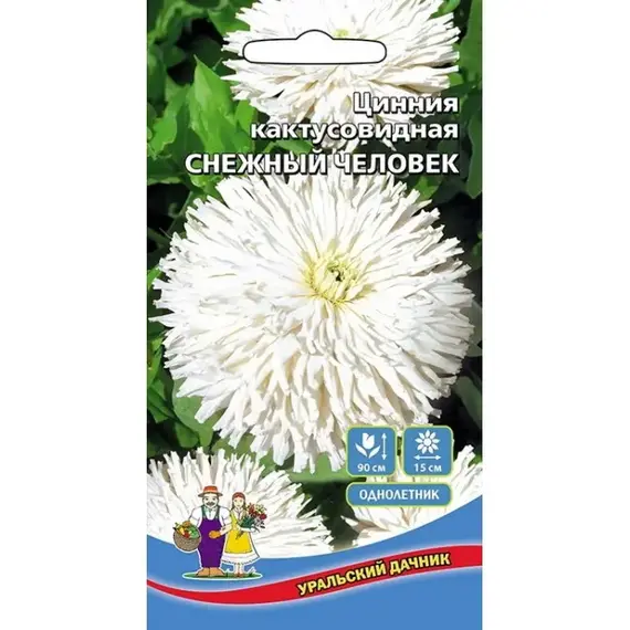 Семена Цинния Снежный человек - кактусовидная (а/ф Уральский Дачник)