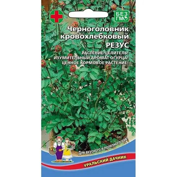 Семена Черноголовник кровохлебковый Резус (а/ф Уральский Дачник)