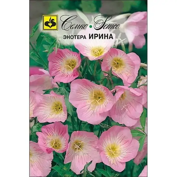 Семена Энотера Ирина (а/ф Семко)