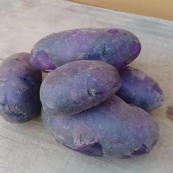 Картофель семенной Василек (репродукция элита.), изображение 2