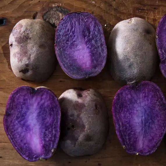 Картофель семенной Гурман (репродукция элита.), изображение 2